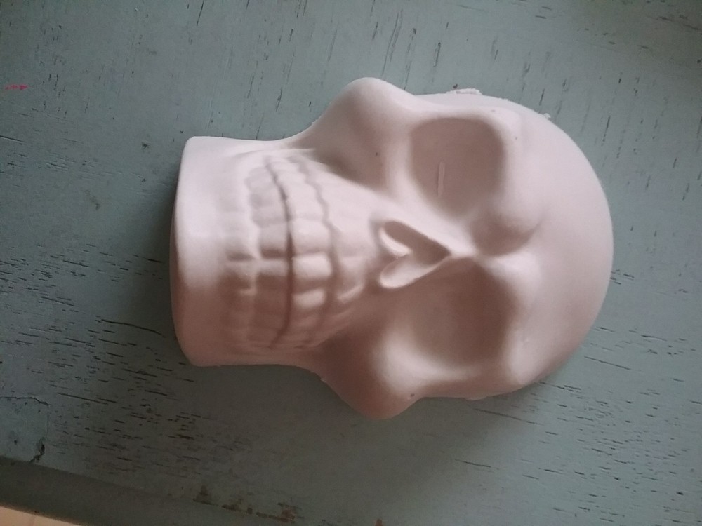 1 Plaster Skull (to paint)