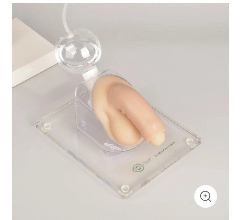 MedEduQuest Male Urethral Catherization Simulator For Students