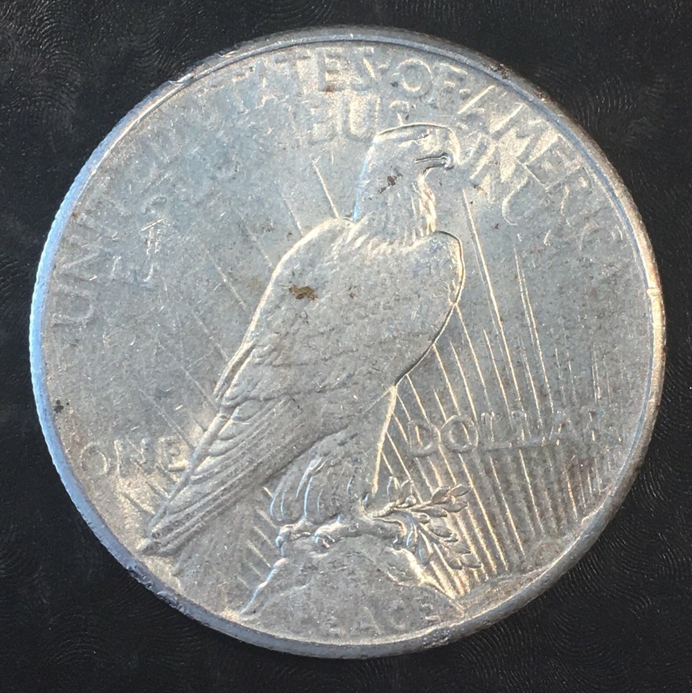 1926 Peace Silver Dollar - High Quality Scans #i109