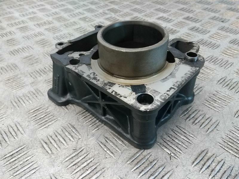 KTM DUKE 125 (12-16) Cylinder