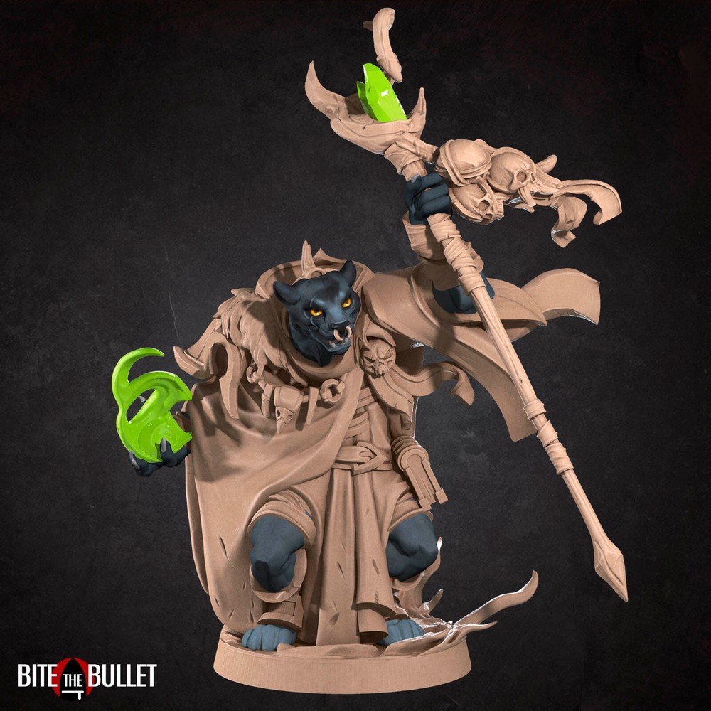 Tabaxi - Warlock / Wizard - Bite the Bullet - Dungeons and Dragons