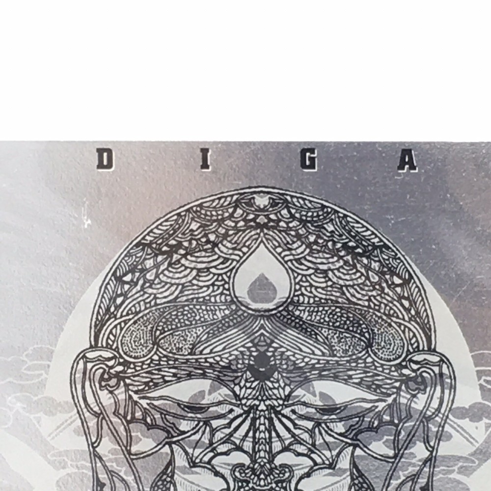 Diga Flyer With Hindi Inspired Artwork