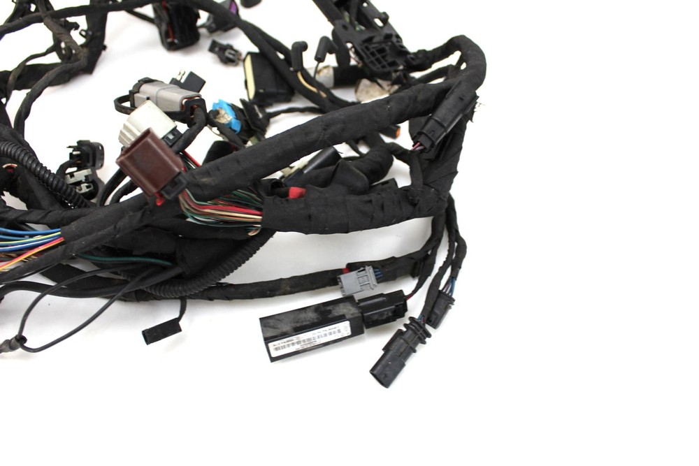 2020 20 Harley Softail FXST Main Wire Harness Loom