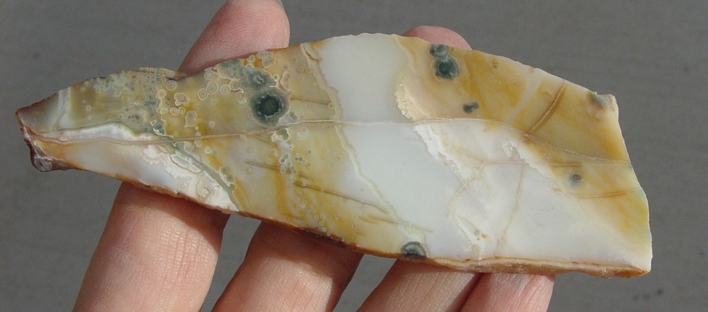 Ocean Jasper Lapidary Slab T936