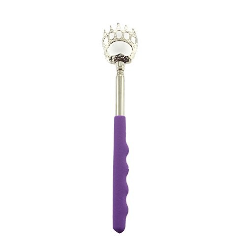 Diamond Visions Eagle Claw Assorted Back Scratcher 1 pk