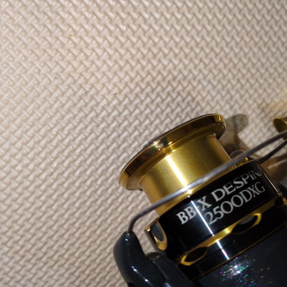 BB-X DESPINA 2500DXG