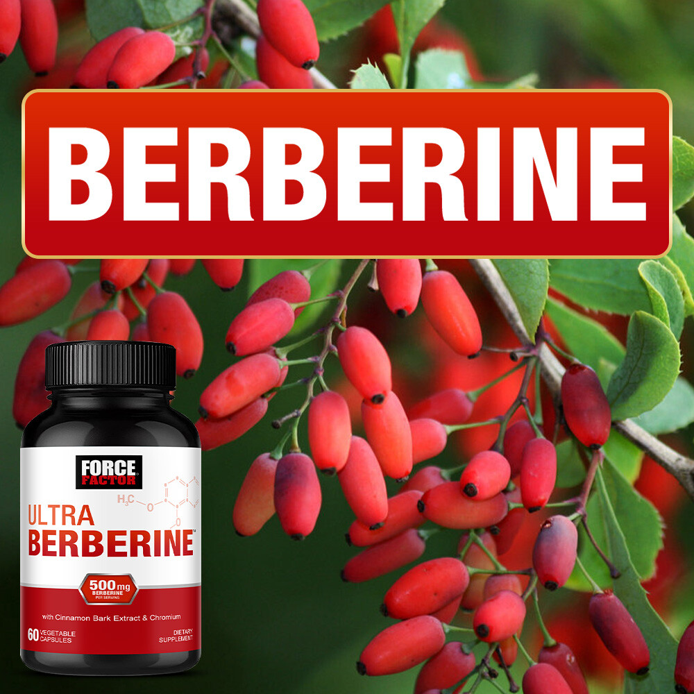 Force Factor Berberine 500mg, 60 Vegetable Capsules
