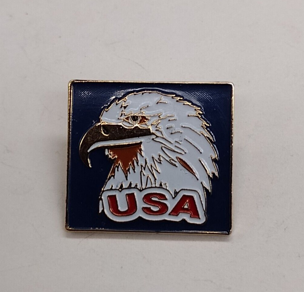 USA Eagle Face Lapel Pin