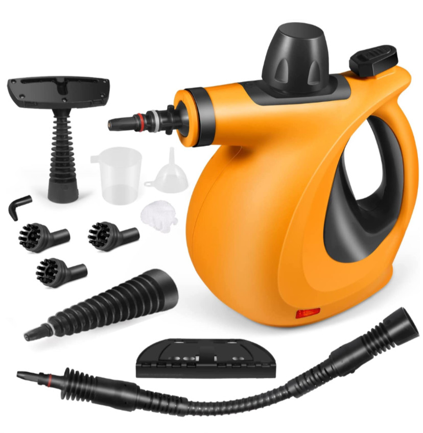 Bed Bug Steamer Kill Bed Bugs & Eggs Kills Easy Fast Non Toxic Child Safe Method