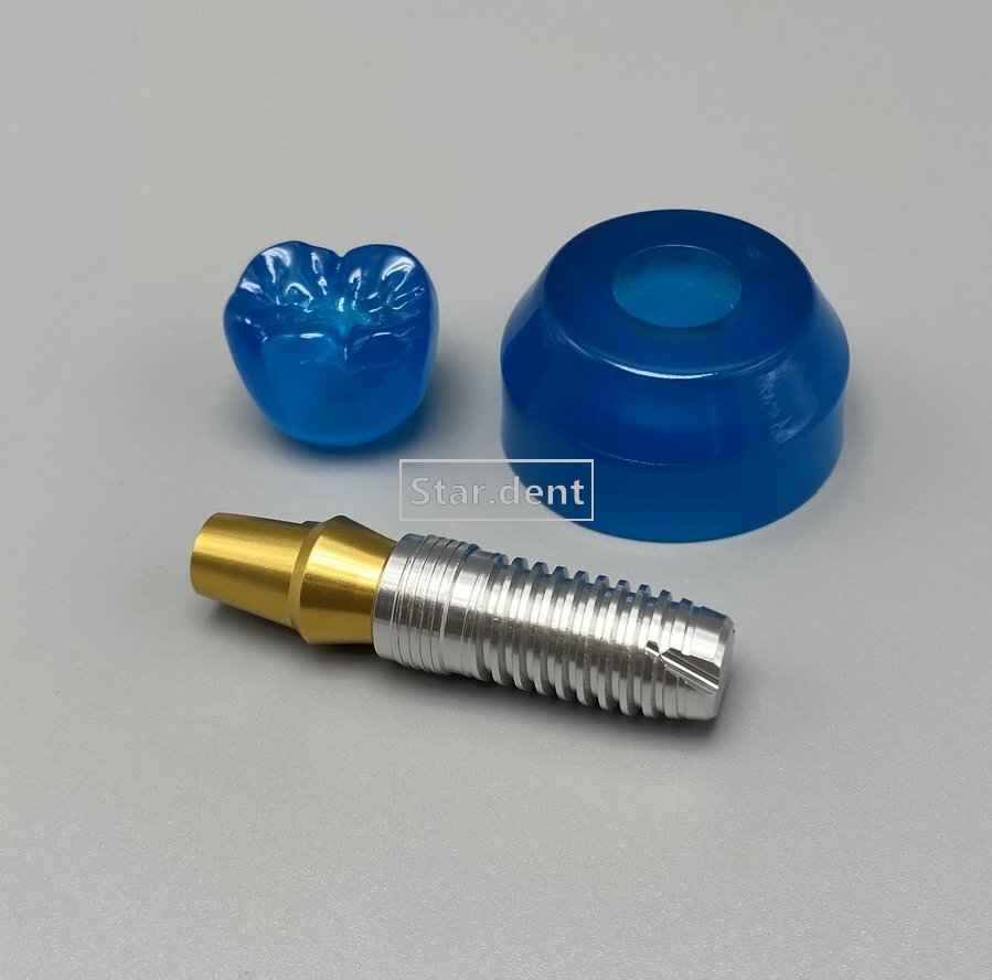 Dental Implant Teeth Model Detachable Abutment Crown Teaching Study Models