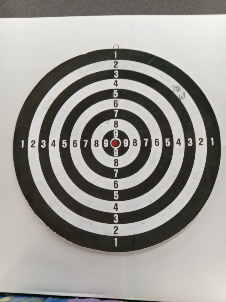 PS Logo Pre-owned Double Sided Dartboard Standard & Target
