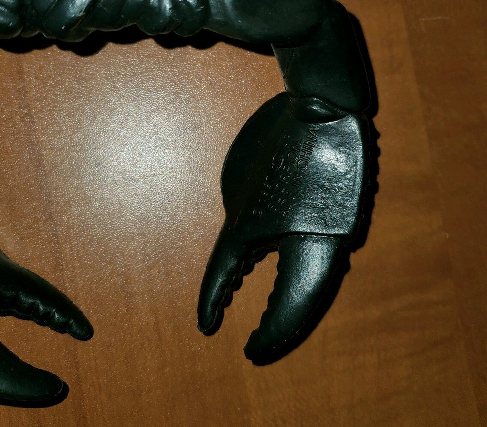 11" Scorpion 1997 Insect Park