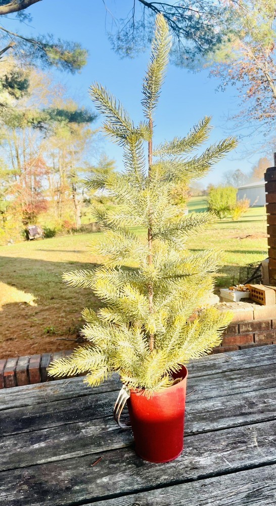 Snow Bristle Tree, Large 36 Inches