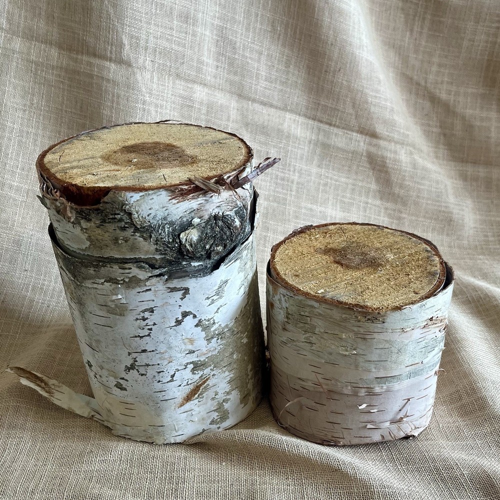 Pair White Birch Bark Tree Log Risers Stands Primitive Rustic Wedding Decor