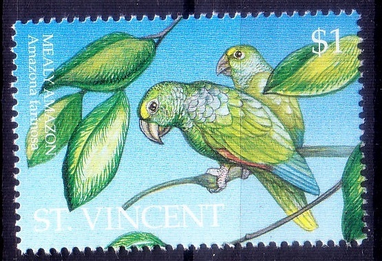 Parrots, Mealy Amazon, Birds, St. Vincent 1995 MNH