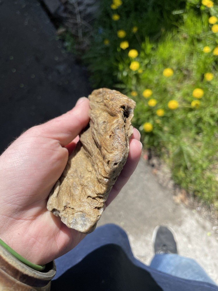 Super Unique, Polished, Agatized/opalized petrified wood