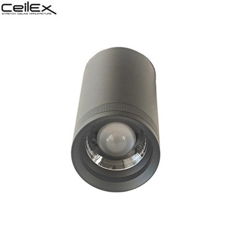 Ceilex 10W Black Adjustable Magnetic Focus Spot Light (Zigbee + 3CCT)