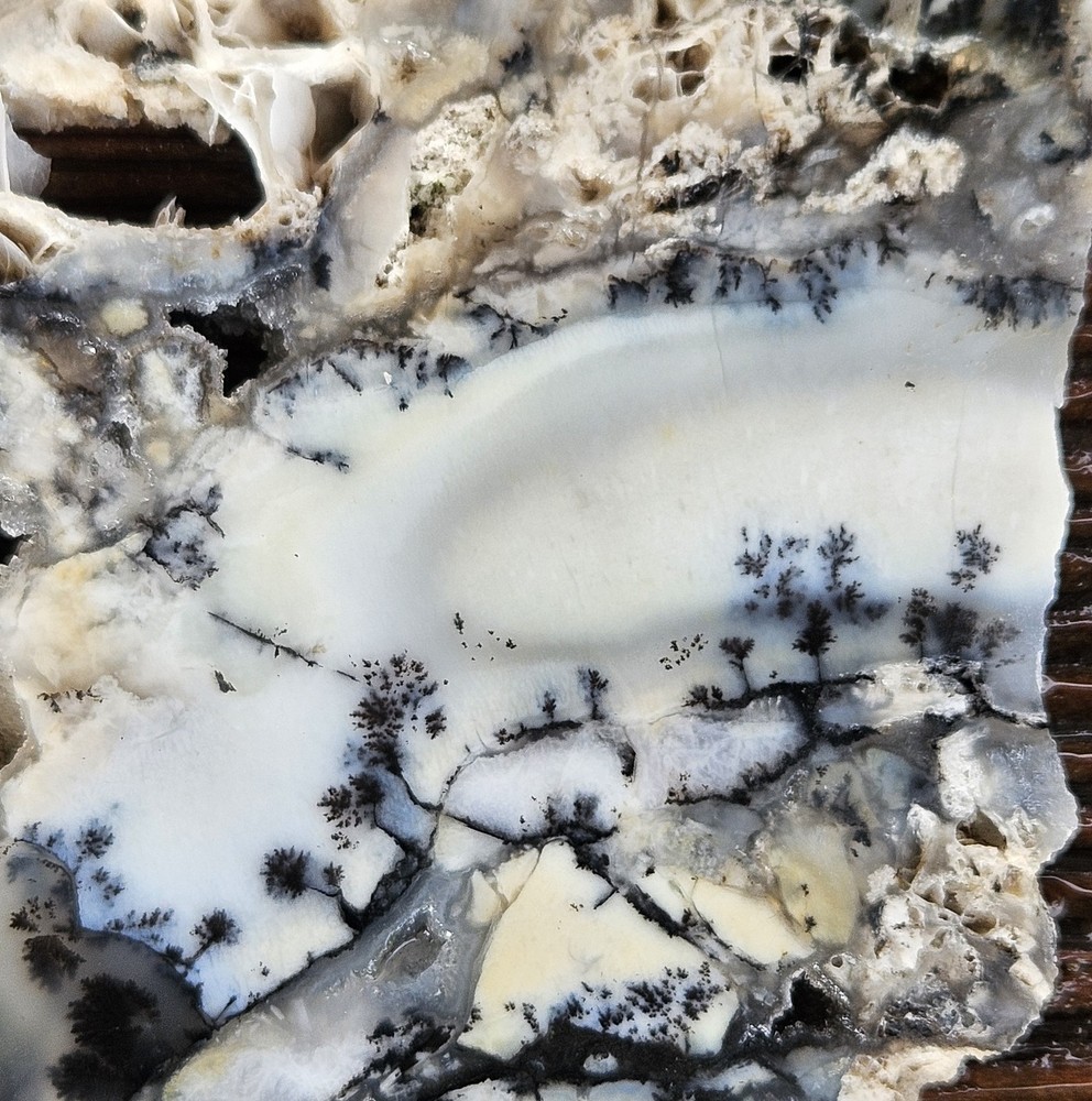 Dendritic Agate Lapidary Slab 78 Grams