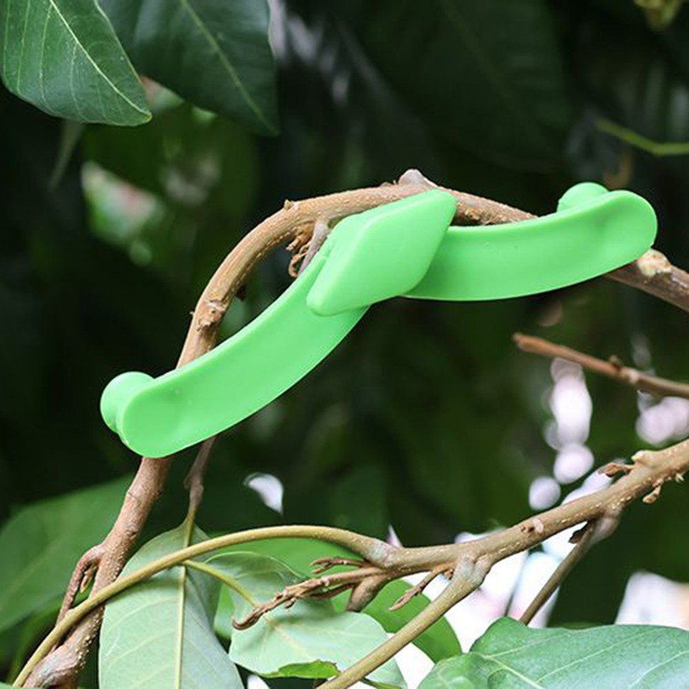 Limb Spreaders Adjustable 5Pcs Fruit Tree Branch Spreader New Branch Spreader
