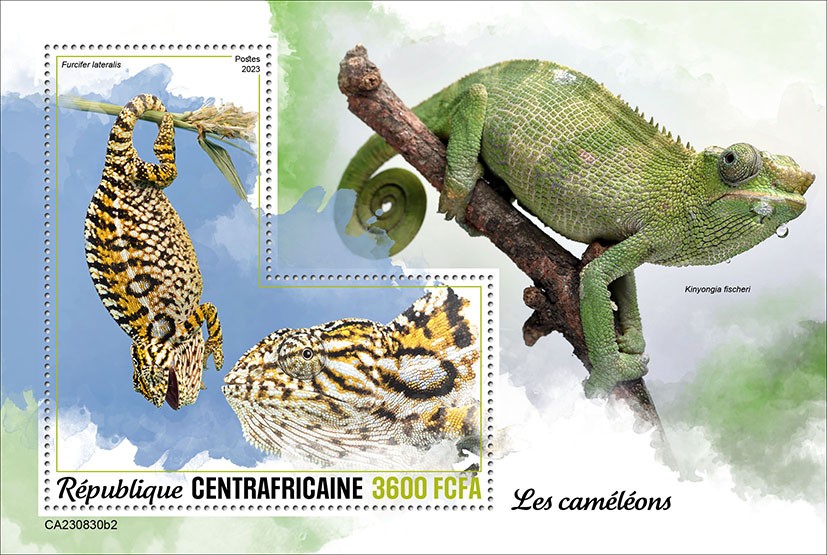 Chameleons