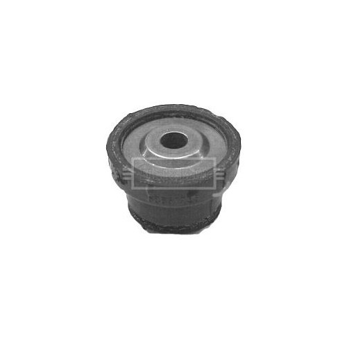 BORG & BECK Mounting, control/trailing arm BSK6116