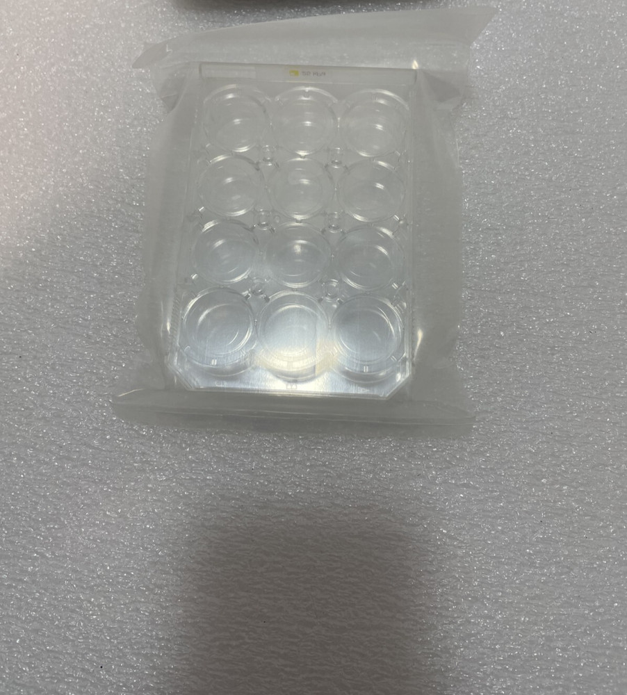 SOFTSLIP SS0012-COL-25