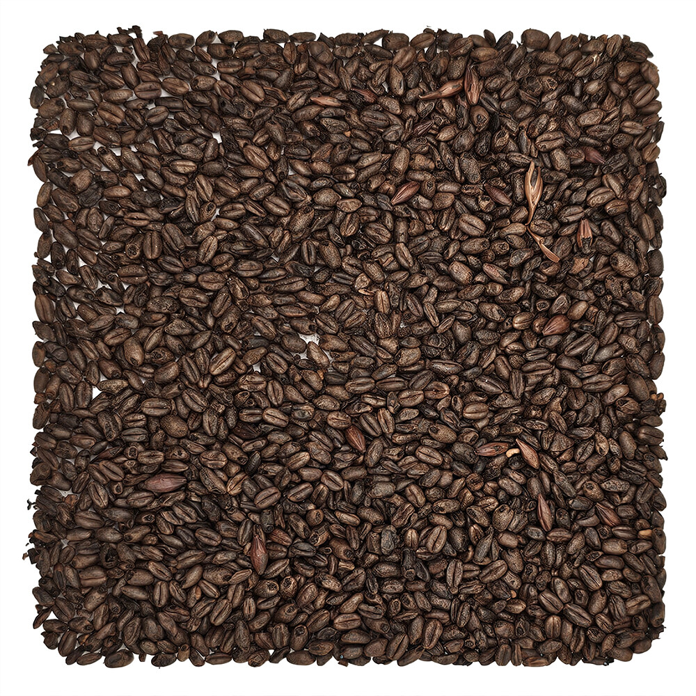 Home Brew Ohio Chocolate Grain 5lb