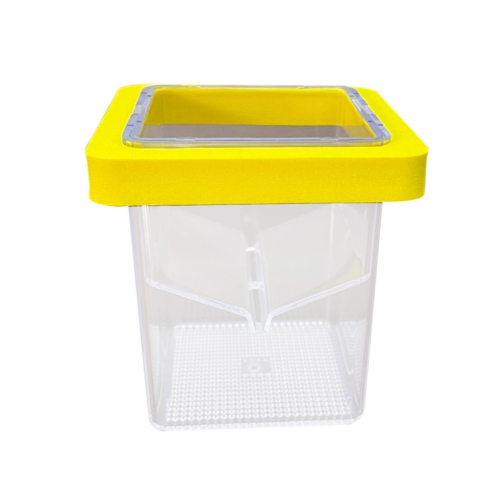 Fish Breeding Isolation Box Fish Isolation Box Floating Square Acrylic