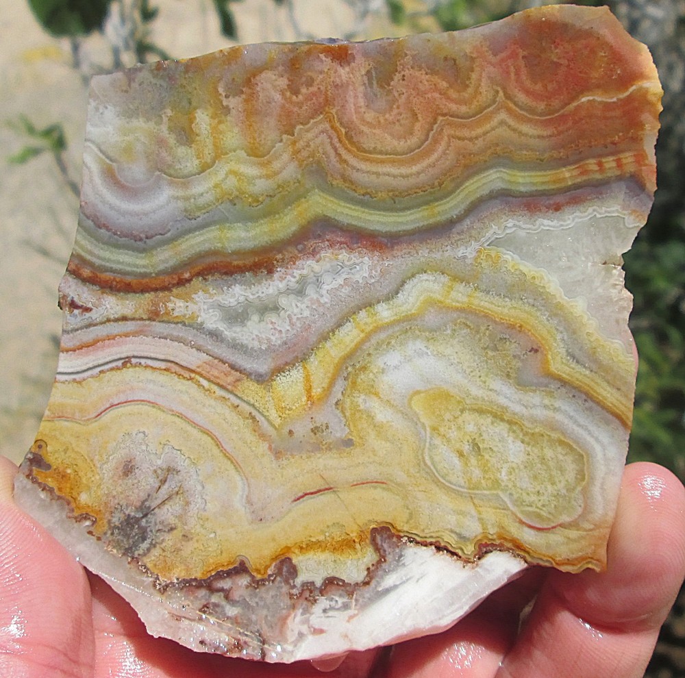 CRAZY LACE AGATE SLAB ~ 3-3/8" X 3-1/4"