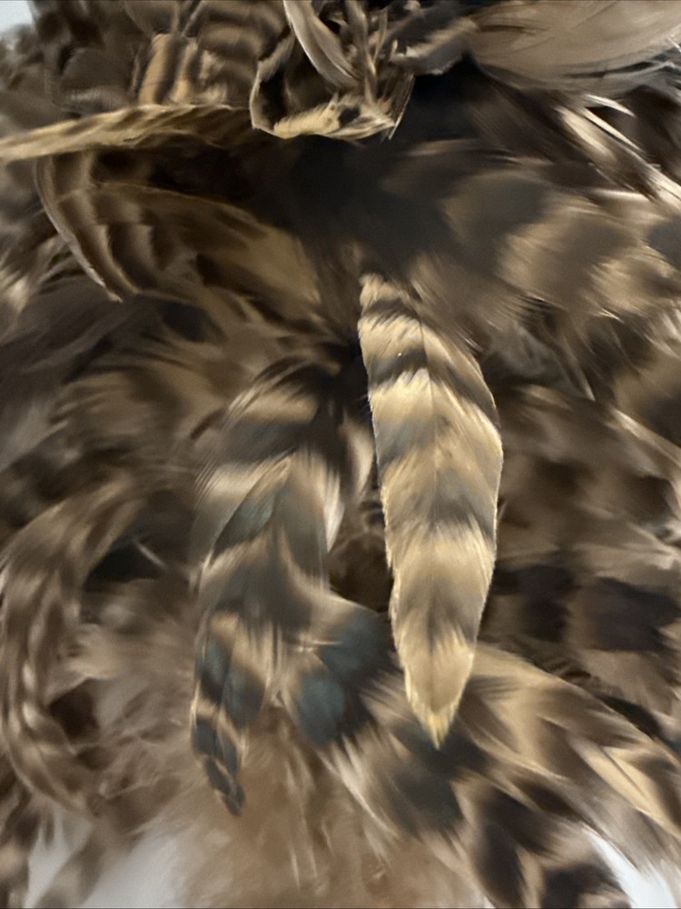 Real Feather Duster with Rope Hook and Wooden Handle