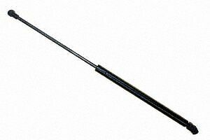 Lift Support  Sachs  SG301013