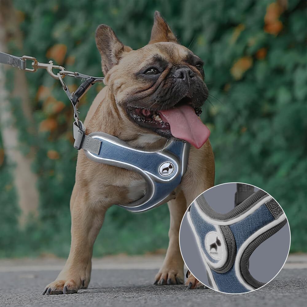 Small Gray Dog Harness Leash Set Reflective Strips Adjustable Step in Vest