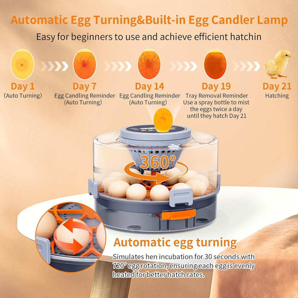12 Egg Incubator, Incubator for Hatching Eggs, Automatic Turning,Temperature& Hu