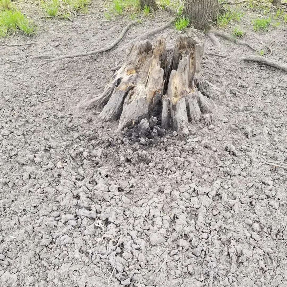 Fat Rax Mineral | Deer Mineral Attractant