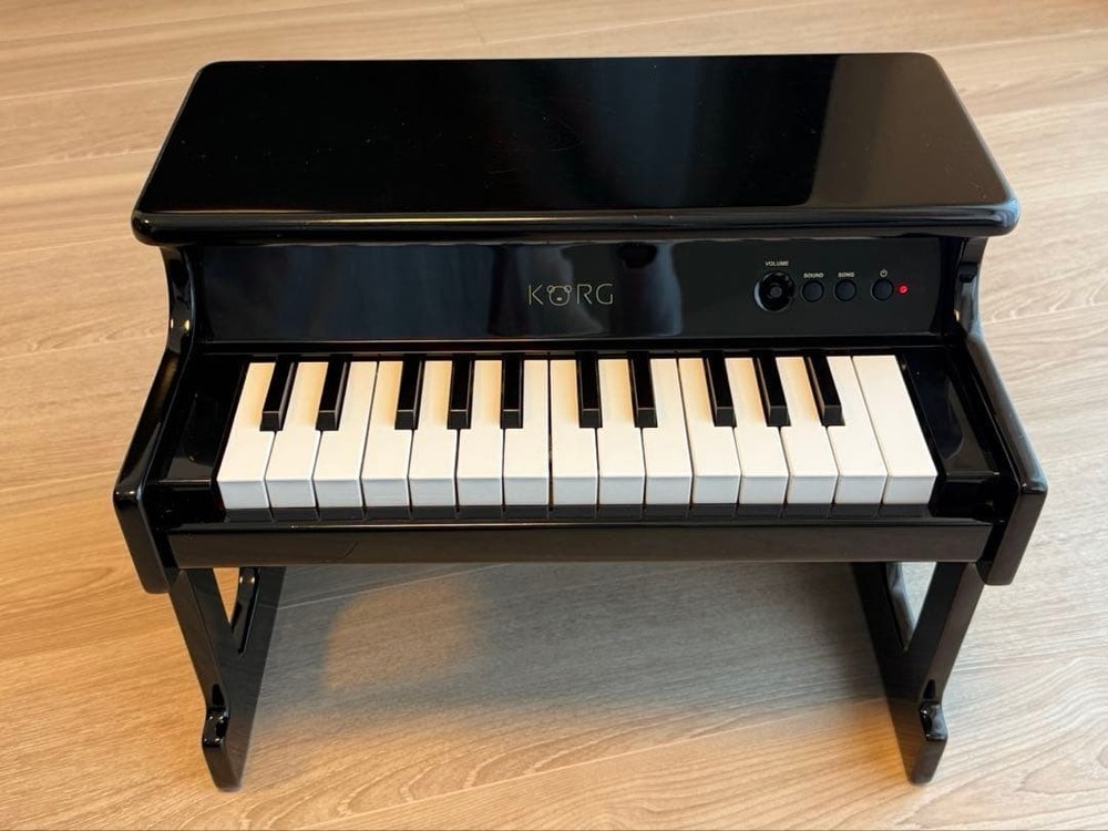 KORG tinyPIANO Black 25-Key Mini Digital Piano Tested Working