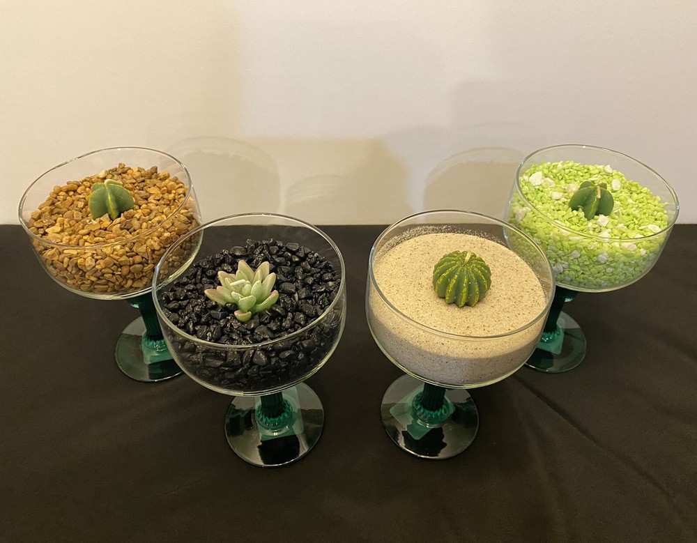 Cactus Candle Holder Set Of 2