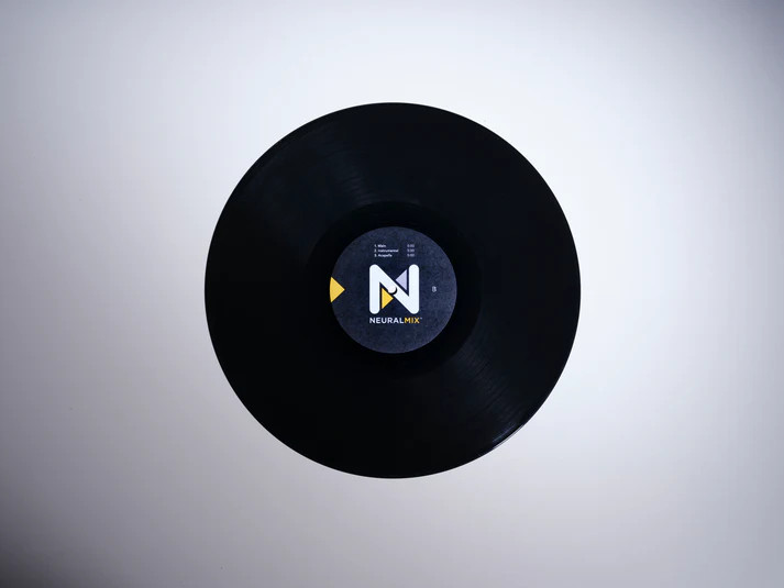 Algoriddim djay Pro 12" Control Vinyl (Black Single)