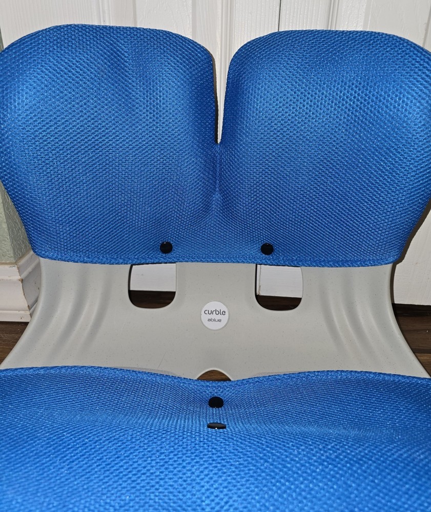 Curble Ablue Chair Back Support Posture Corrector Back Pain Relief