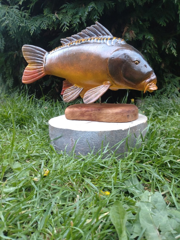 Carp fishing, mirror carp sculpture