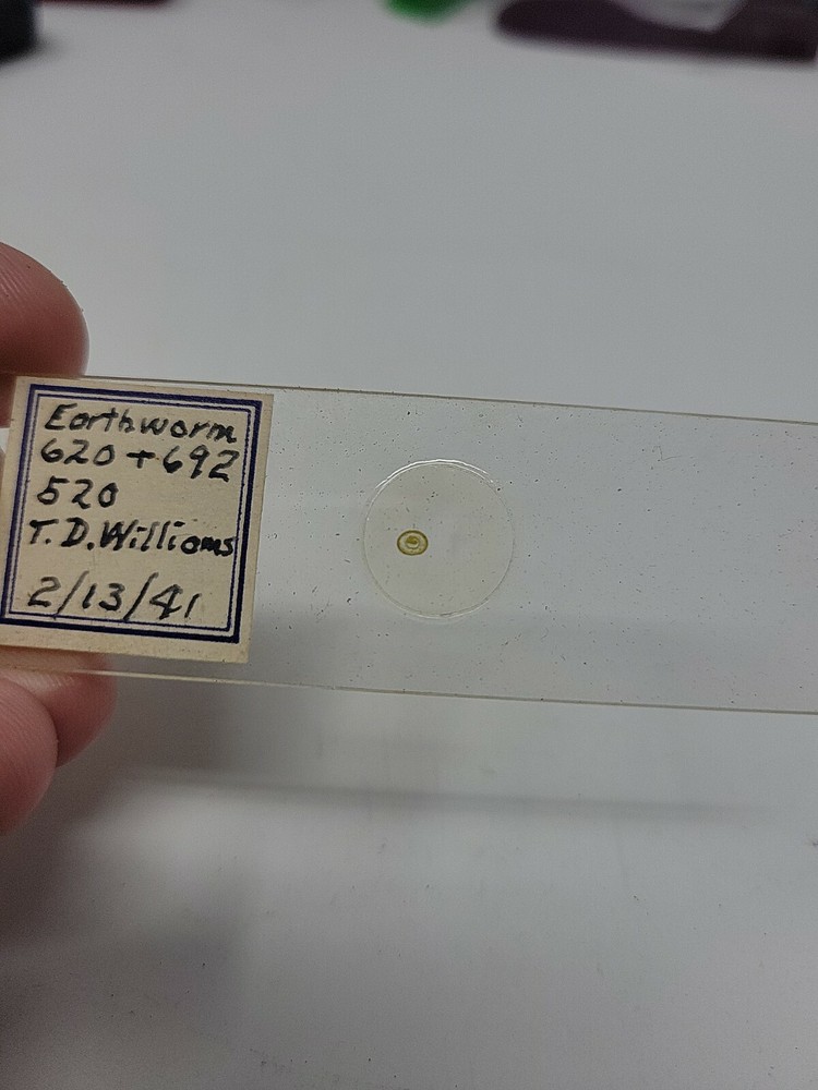 Vintage Microscope Slide 1941