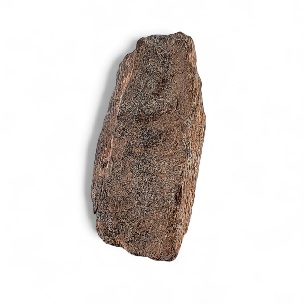 Jurassic Dinosaur Fossil Bone from Morrison Formation Includes Display