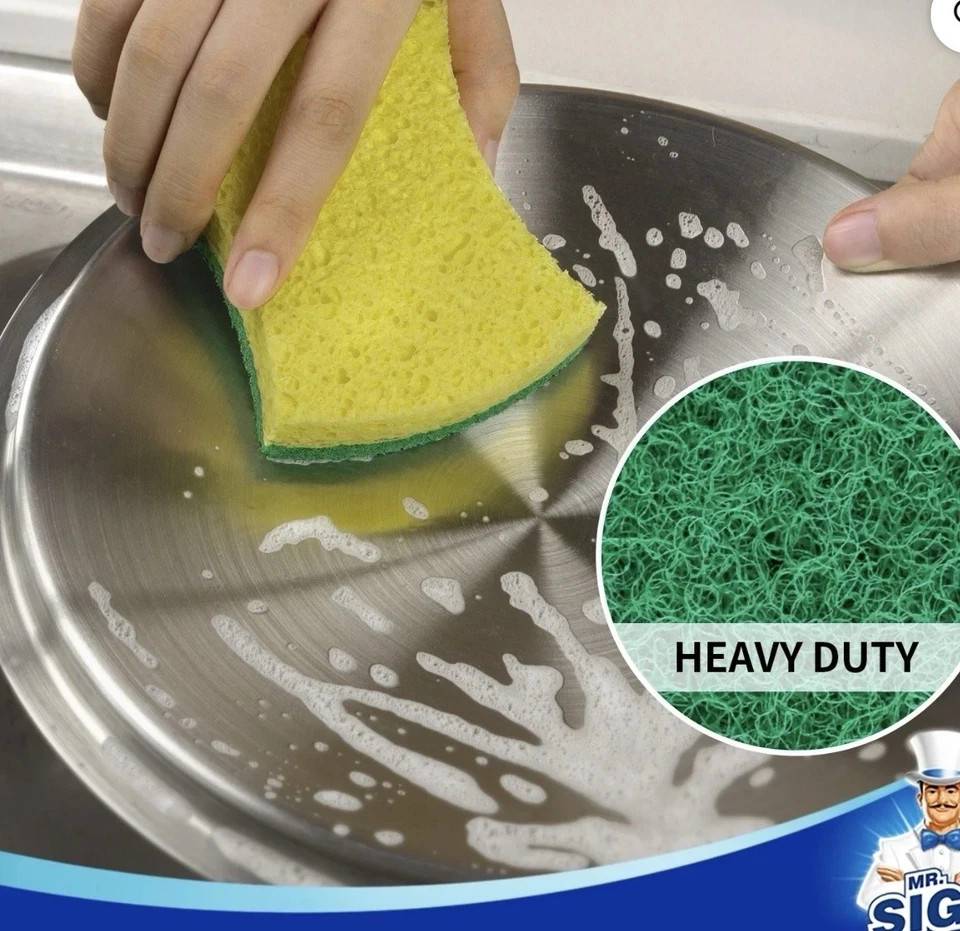 Sponge for Dish