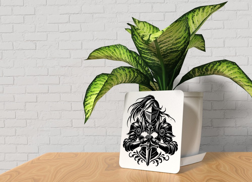 Warrior 2 | Funny sign For Home or Office