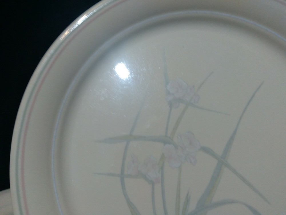 4 Corelle by Corning "Spring Pond" U.S.A. Dinner Plate 10.25"D