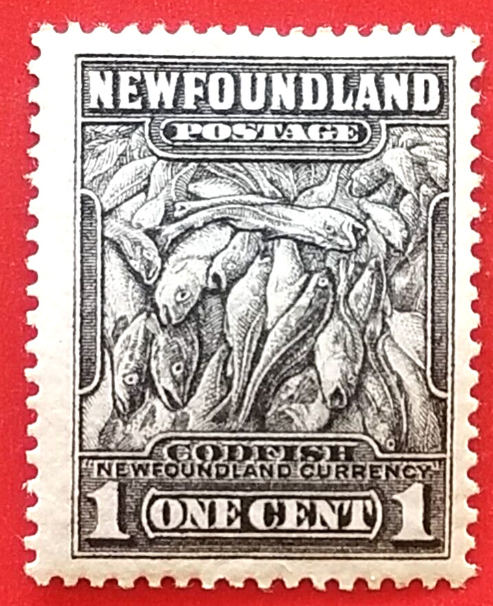 Canada Newfoundland #184 "Definitive - Perkins Bacon Printing" MH