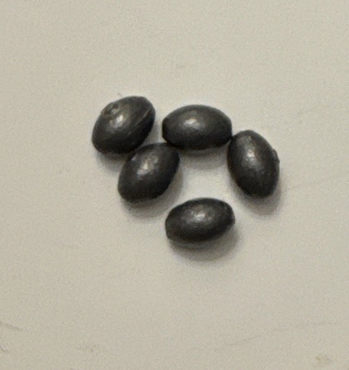 2g Inline Weights PACK  5 X Weights, Light Course Float Weights, Light Fishing