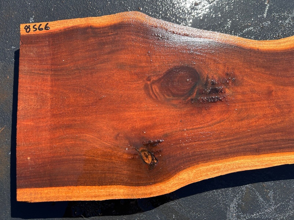 Hawaiian Milo Board #8566