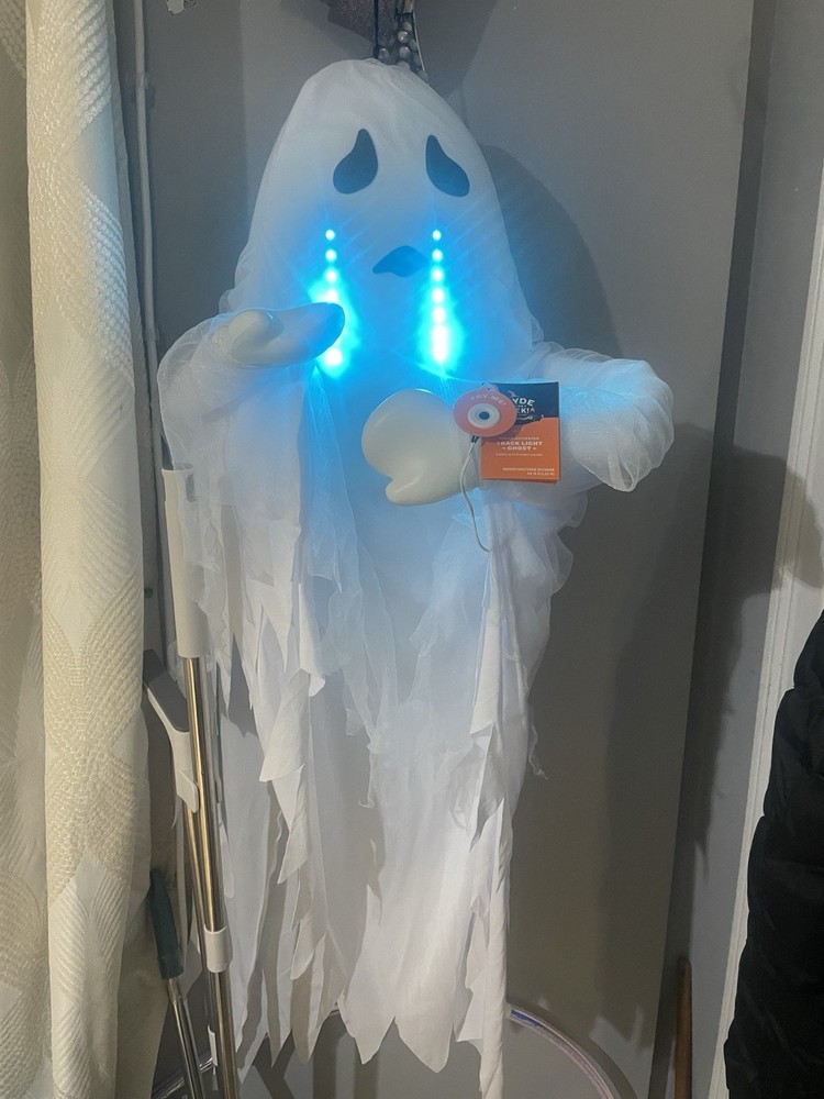 Hyde and EEK! Track Light(sad/tears)Ghost 42"  6  Sound Activated Phrases* READ*