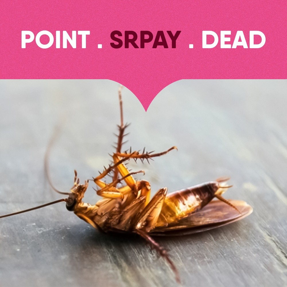 Hot Shot Ant, Roach & Spider Killer: Blossom Your Space Into a Bug-Free Zone