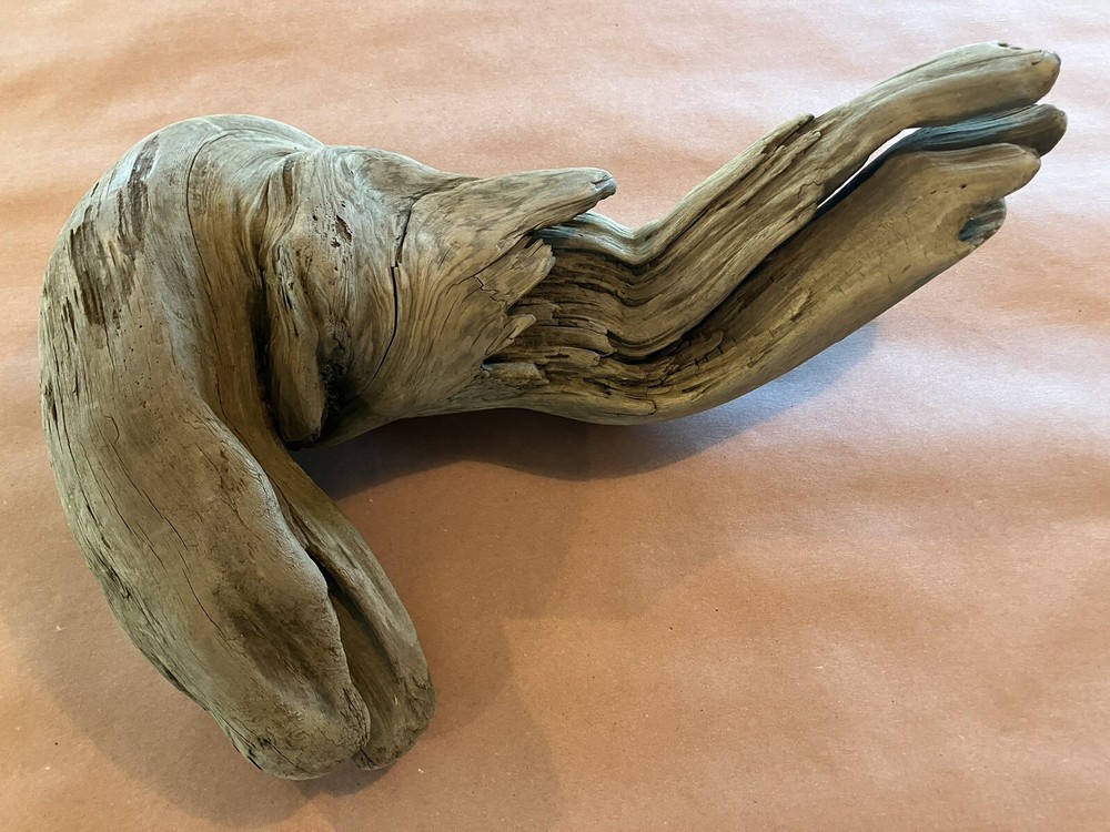 Beautiful Driftwood